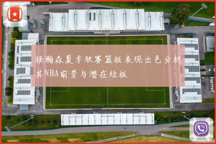 杨瀚森夏季联赛篮板表现出色分析其NBA前景与潜在短板